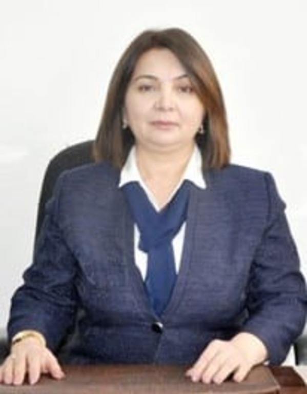 Read more about the article A Turkish Professor Delivered a Seminar on “Environmentally Friendly Business Practices in Tourism” for Students of Mingachevir State University